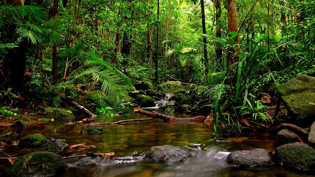 SriLanka